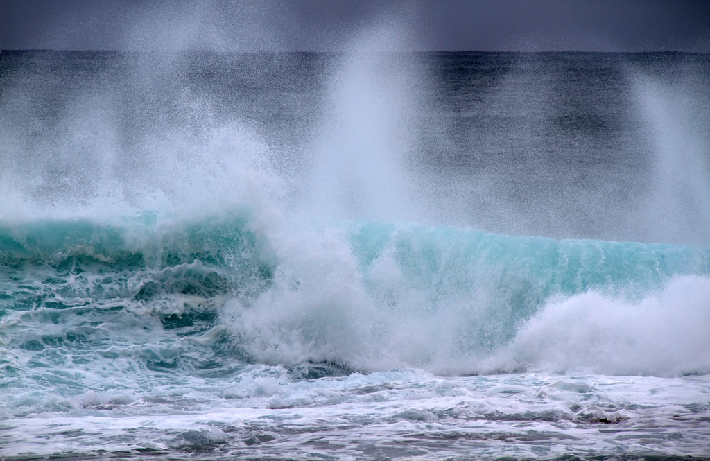 Textura de rocío marino